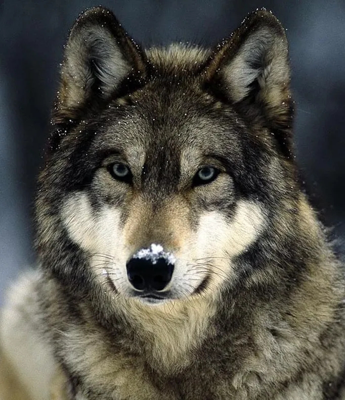 电子游戏app下载安装