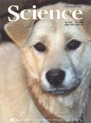 电子游戏app下载安装