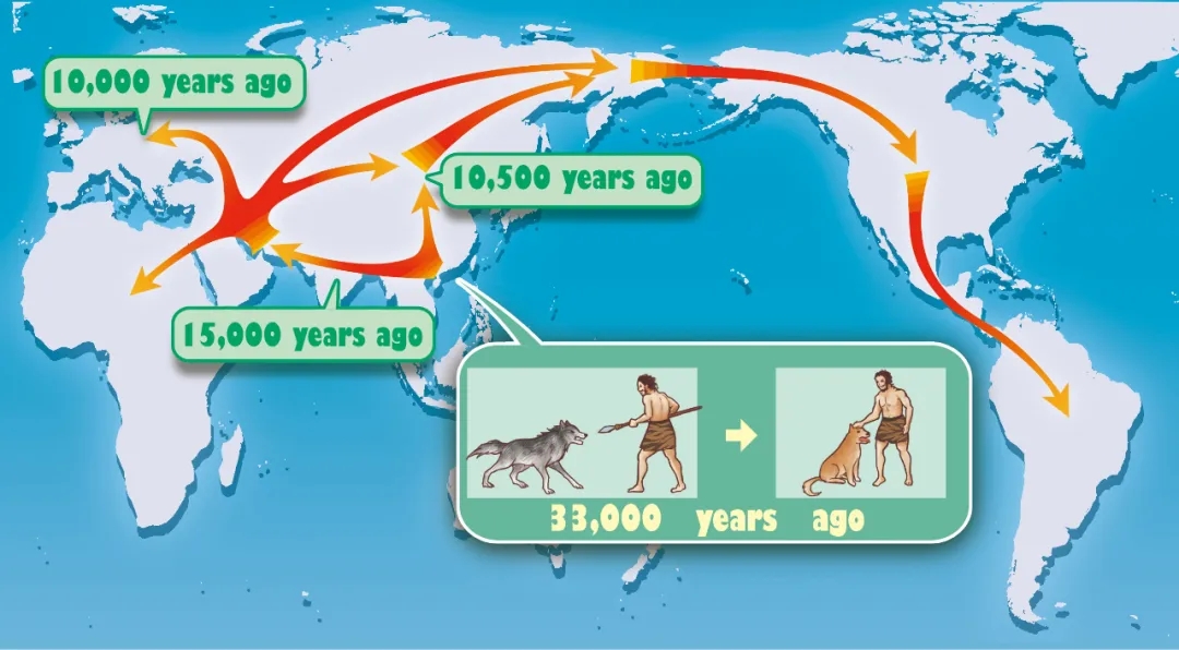 电子游戏app下载安装