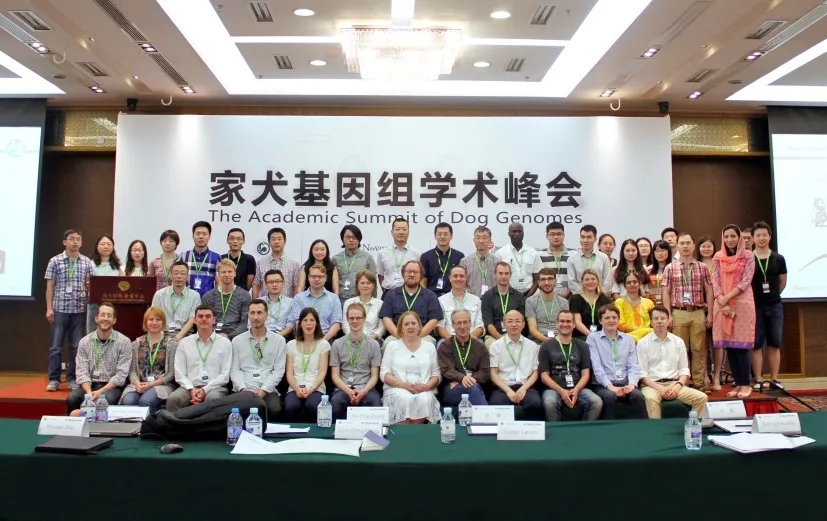 电子游戏app下载安装