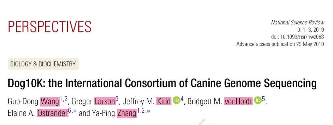 电子游戏app下载安装