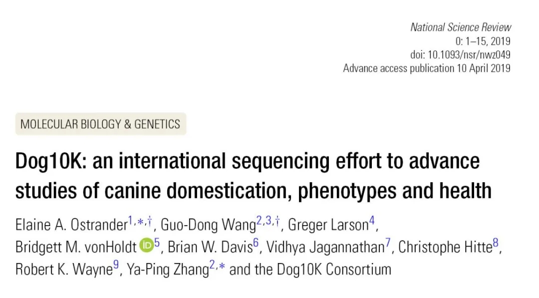 电子游戏app下载安装
