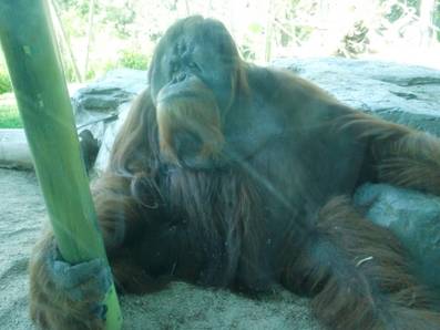 电子游戏app下载安装