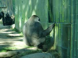 电子游戏app下载安装