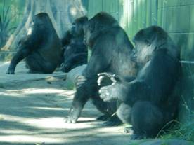 电子游戏app下载安装