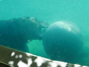 电子游戏app下载安装