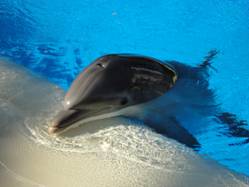 电子游戏app下载安装