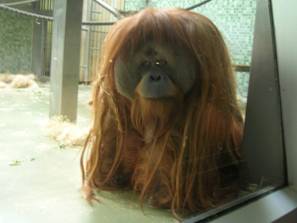 电子游戏app下载安装