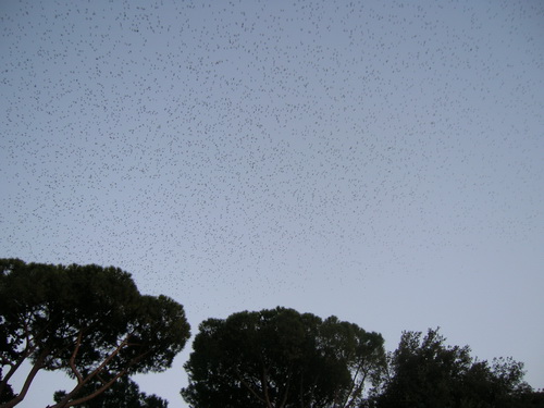 电子游戏app下载安装