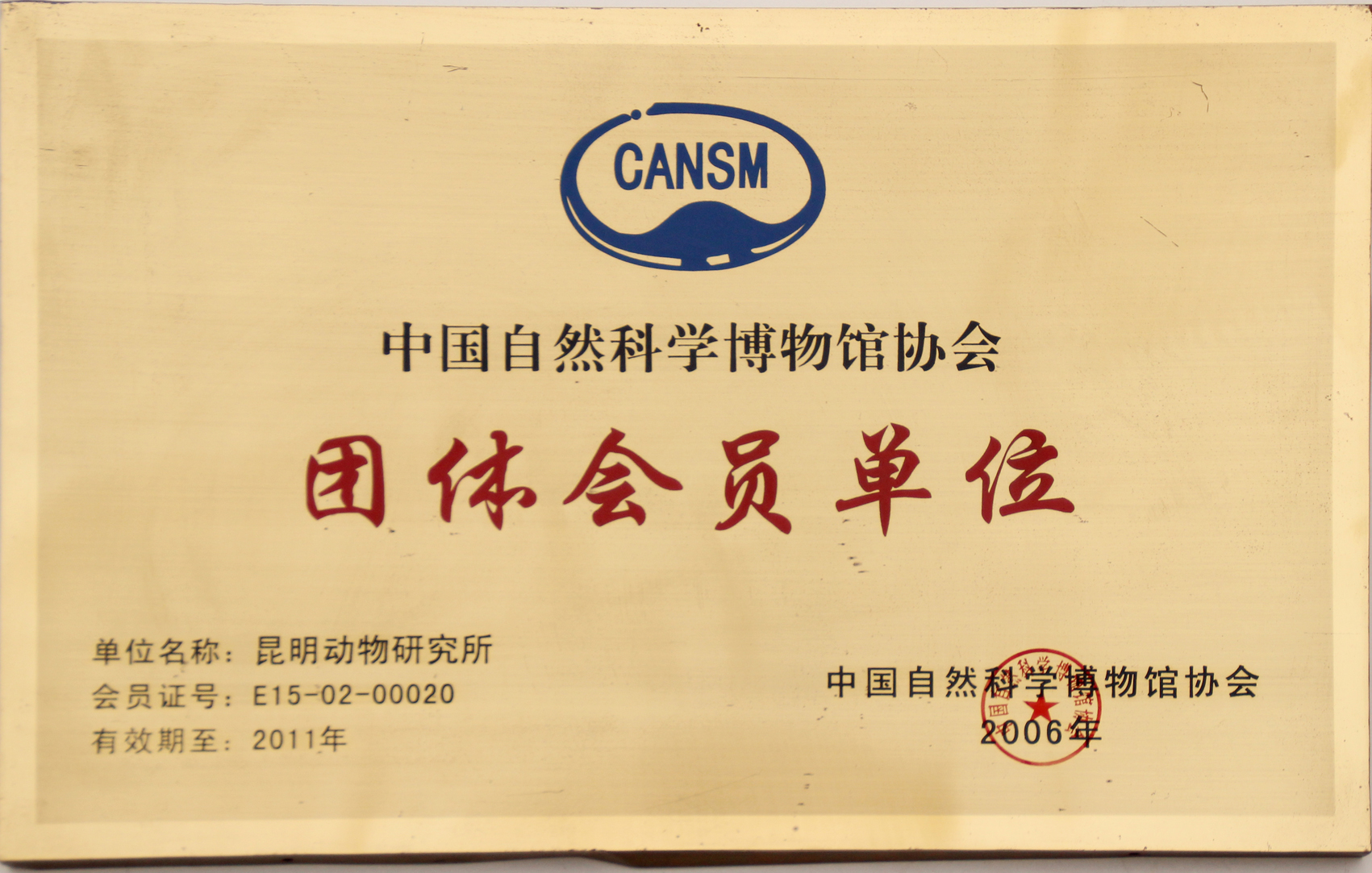 电子游戏app下载安装