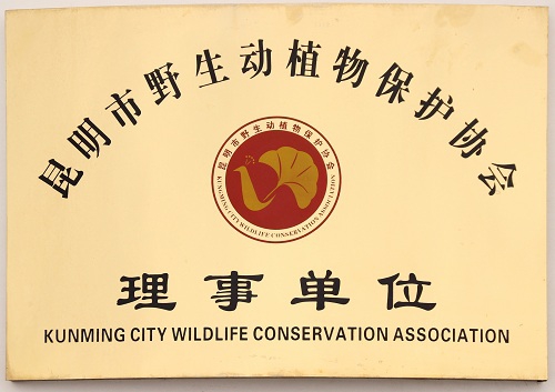 电子游戏app下载安装