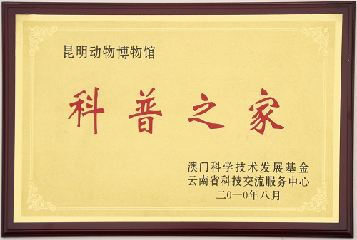 电子游戏app下载安装