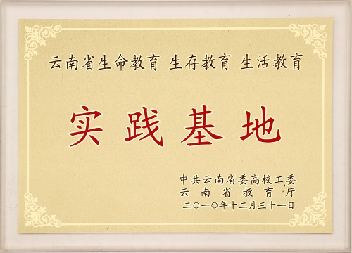 电子游戏app下载安装