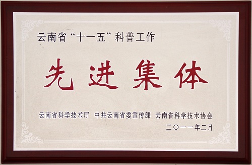 电子游戏app下载安装