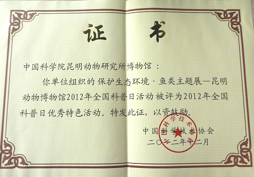 电子游戏app下载安装