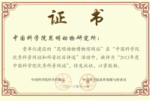 电子游戏app下载安装