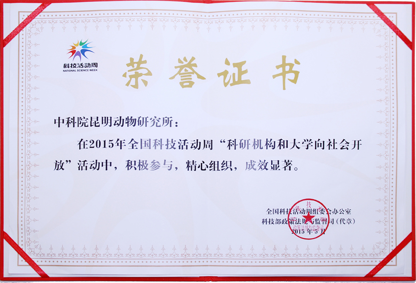 电子游戏app下载安装