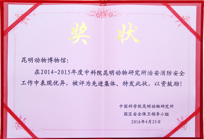 电子游戏app下载安装