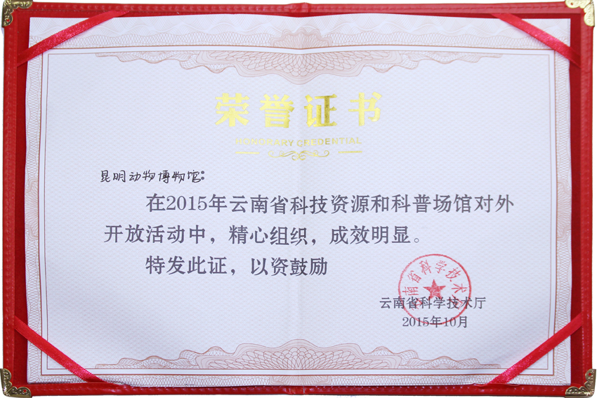 电子游戏app下载安装