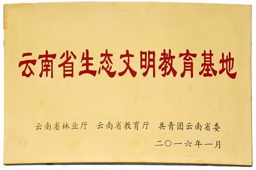 电子游戏app下载安装