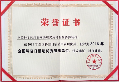 电子游戏app下载安装