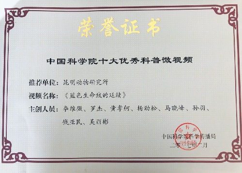 电子游戏app下载安装