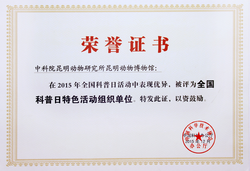 电子游戏app下载安装