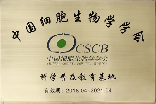 电子游戏app下载安装