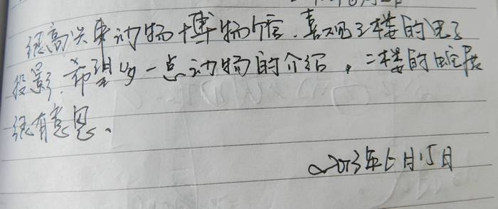 电子游戏app下载安装