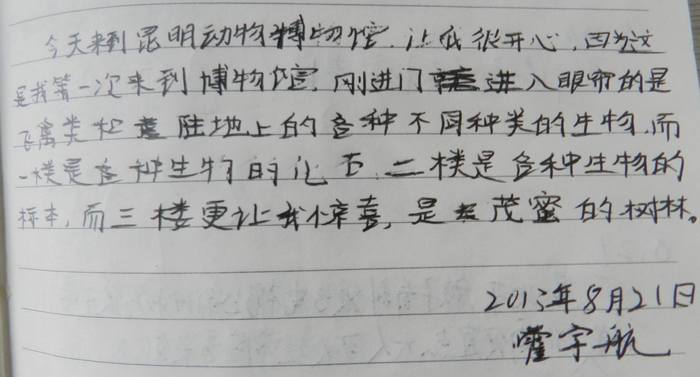 电子游戏app下载安装