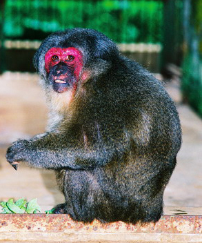 电子游戏app下载安装