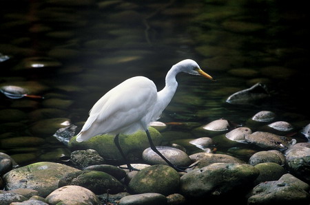 电子游戏app下载安装