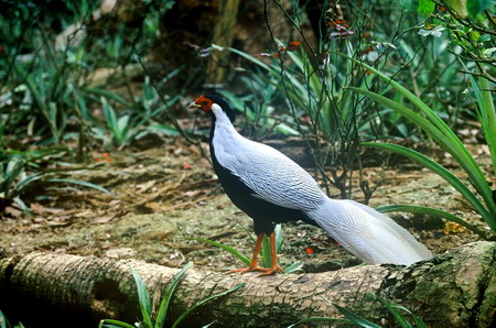 电子游戏app下载安装