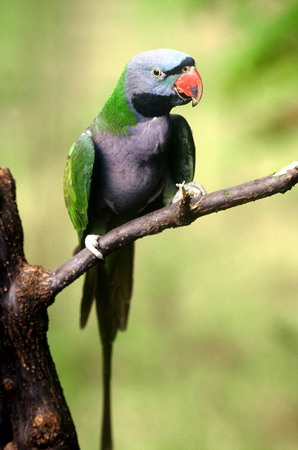 电子游戏app下载安装