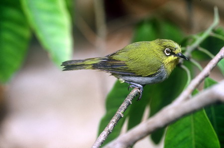 电子游戏app下载安装