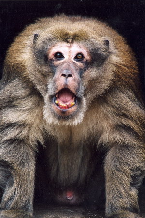 电子游戏app下载安装