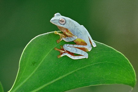 电子游戏app下载安装