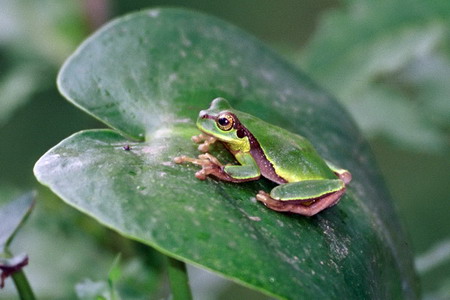 电子游戏app下载安装