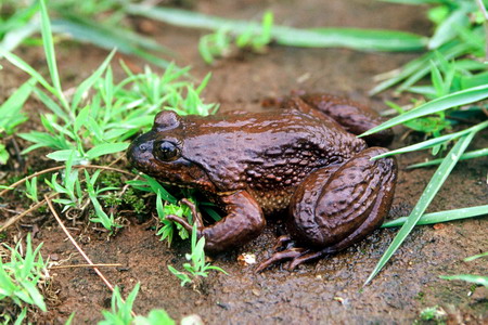 电子游戏app下载安装