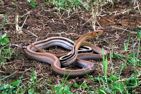 电子游戏app下载安装