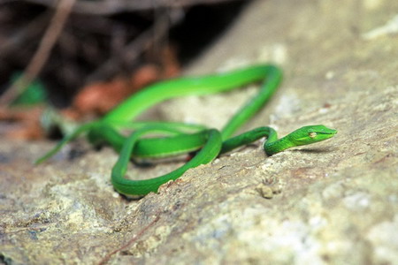 电子游戏app下载安装