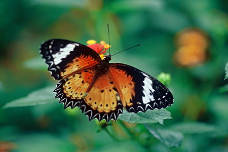 电子游戏app下载安装