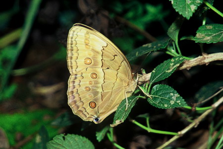 电子游戏app下载安装
