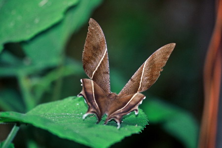 电子游戏app下载安装