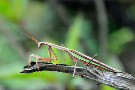 电子游戏app下载安装
