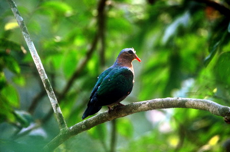 电子游戏app下载安装