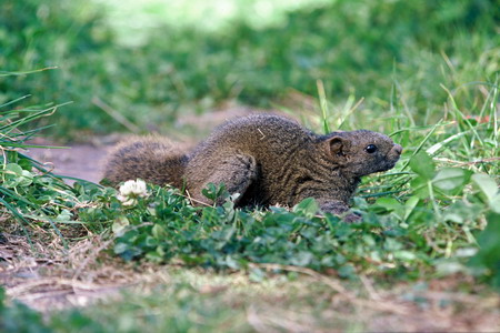 电子游戏app下载安装