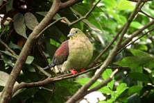 电子游戏app下载安装