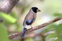 电子游戏app下载安装