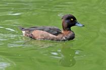 电子游戏app下载安装